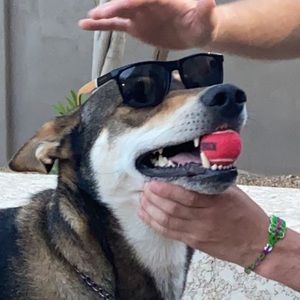 Meet your Posher, Claire